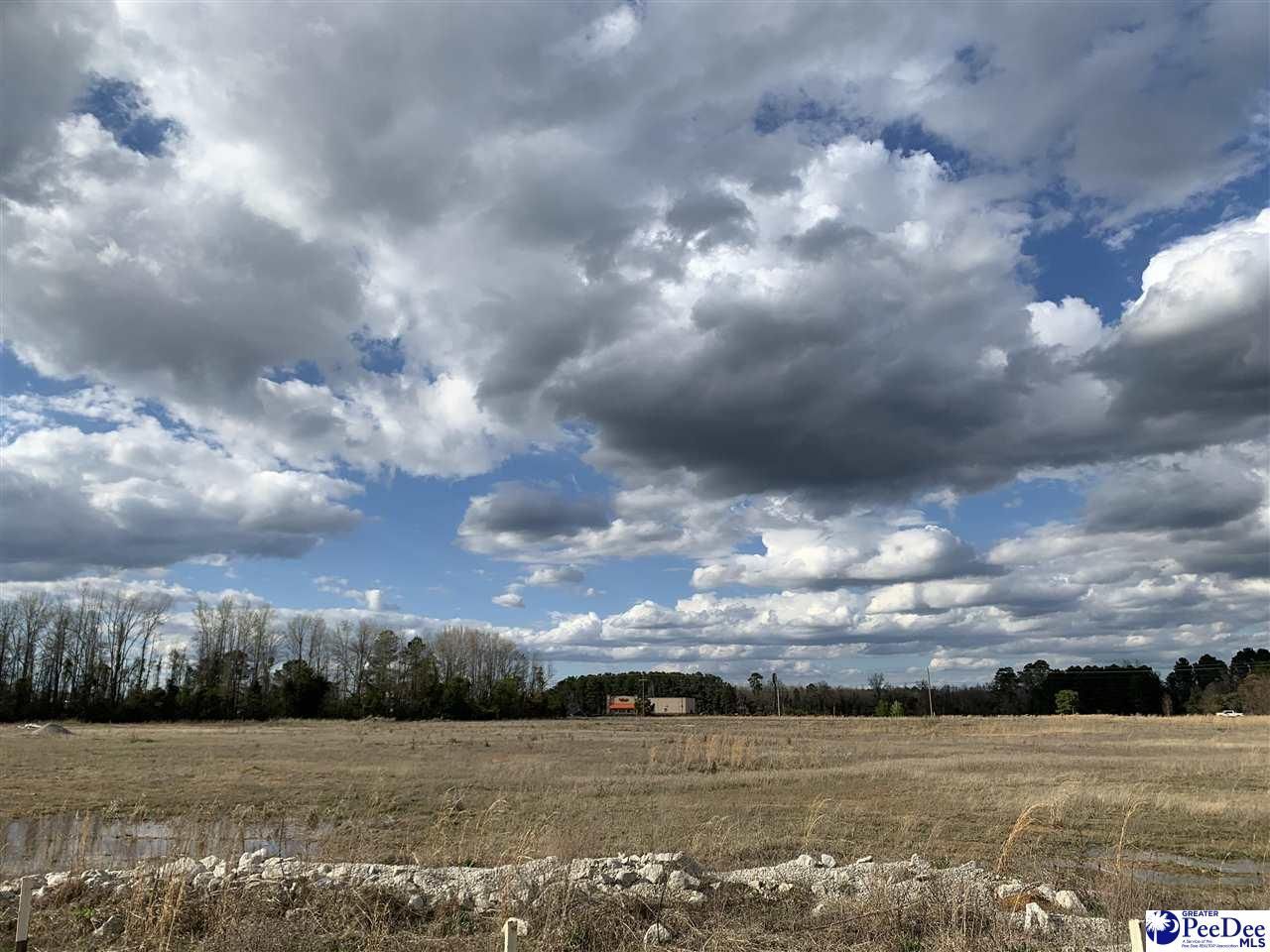 Tbd E Palmetto Street Photo 13