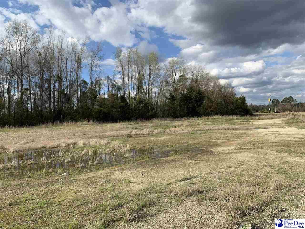 Tbd E Palmetto Street Photo 14