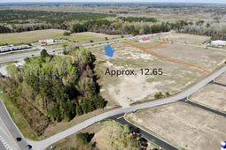 Tbd E Palmetto Street photo 4