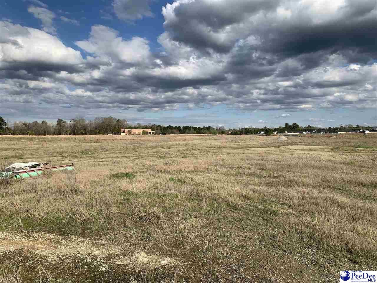 Tbd E Palmetto Street Photo 5