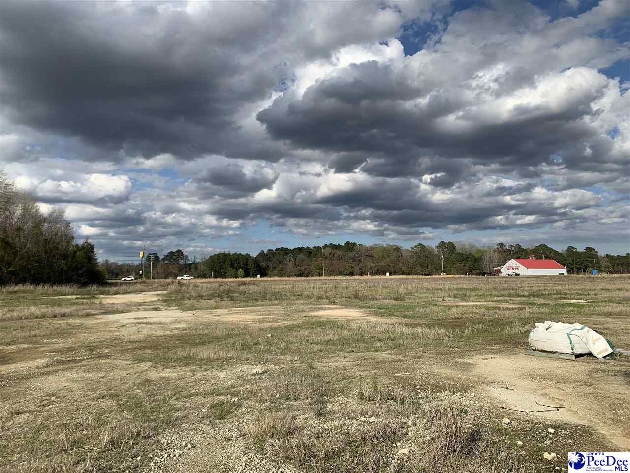 Tbd E Palmetto Street Photo 6