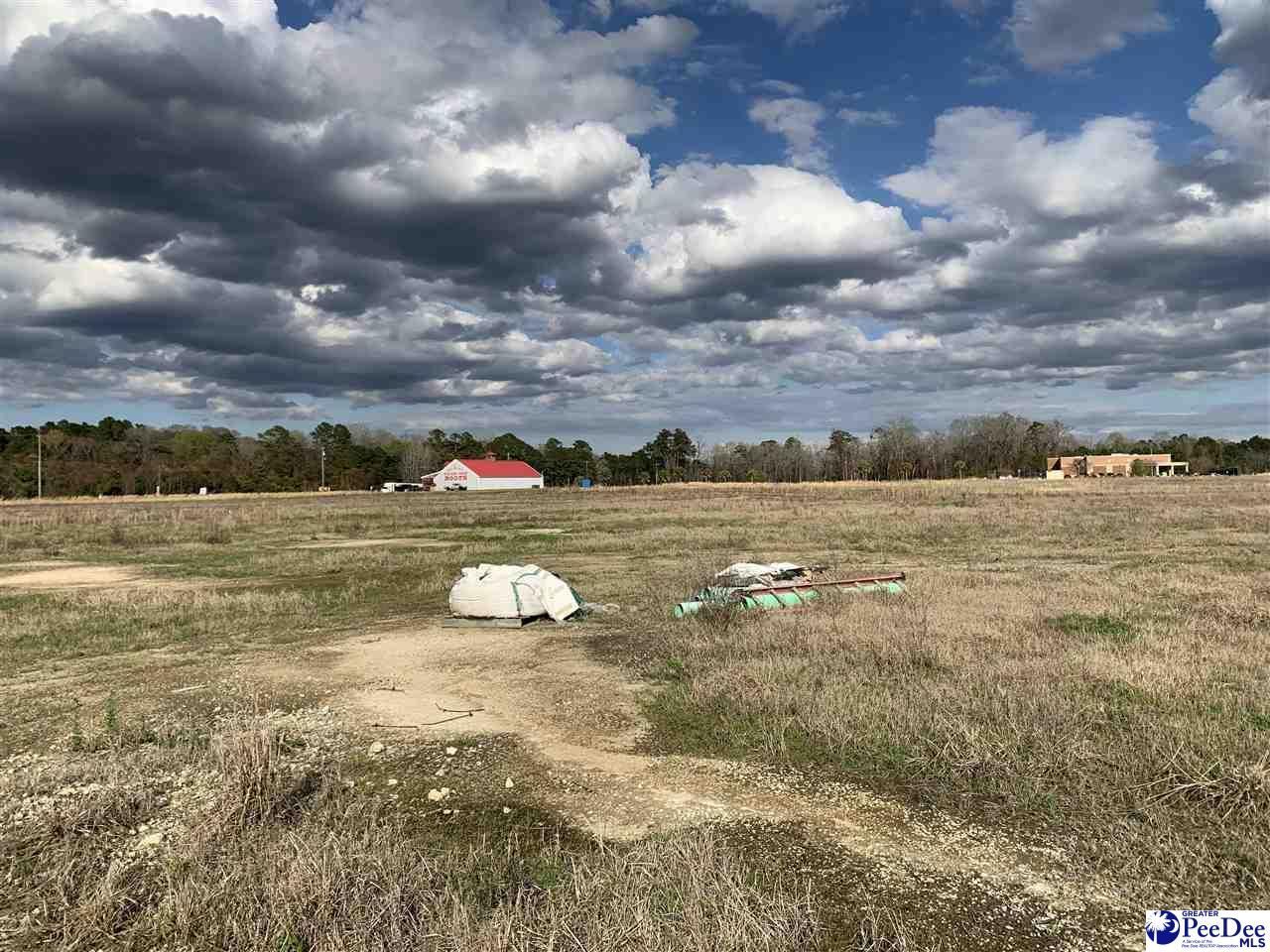 Tbd E Palmetto Street Photo 7