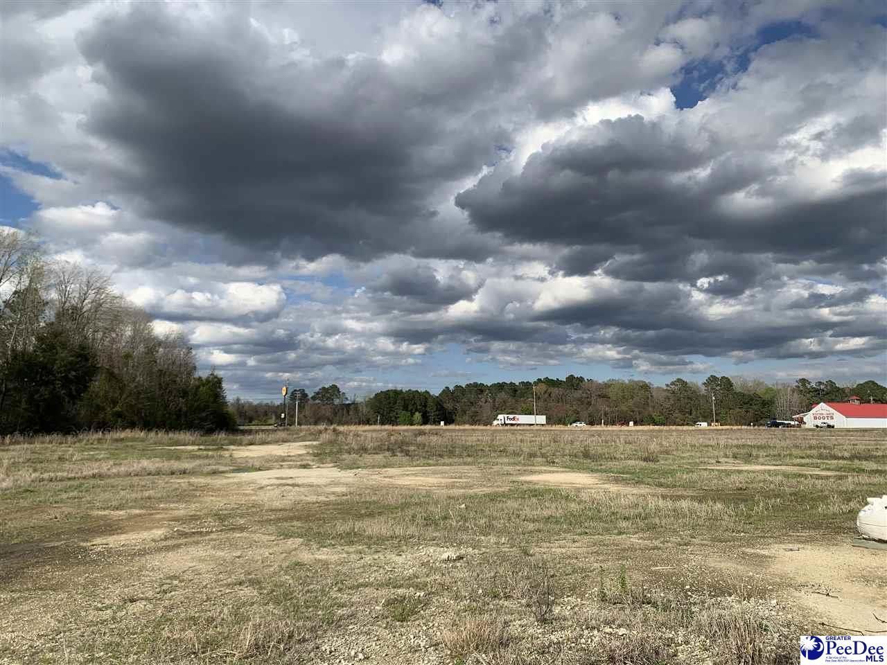 Tbd E Palmetto Street Photo 9