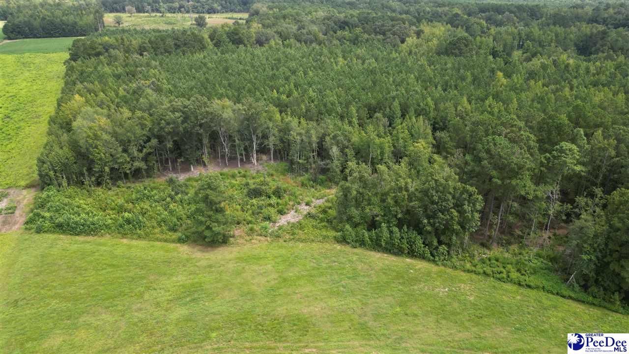 140 Pinkney Rd. Photo 11