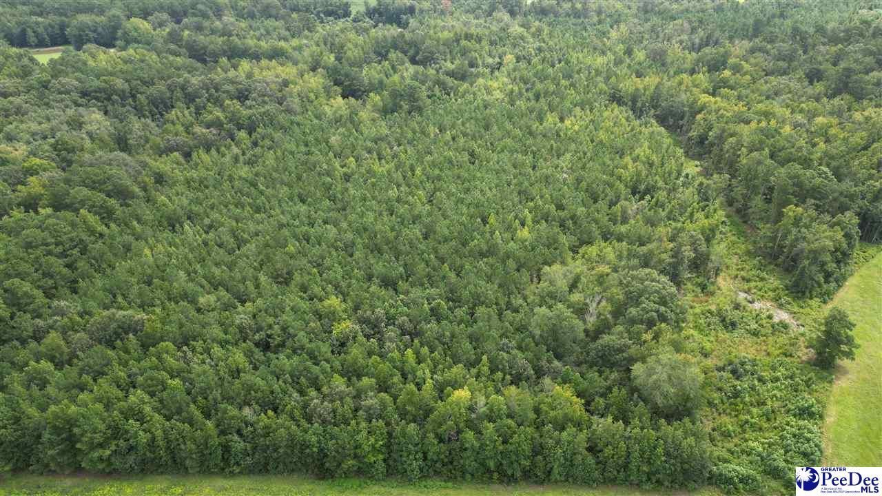 140 Pinkney Rd. Photo 12