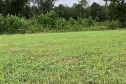 140 Pinkney Rd. photo 4