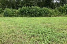 140 Pinkney Rd. photo 4