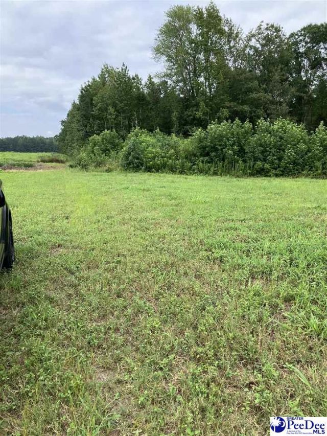 140 Pinkney Rd. Photo 4