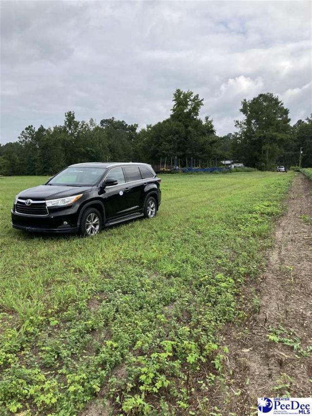 140 Pinkney Rd. Photo 5