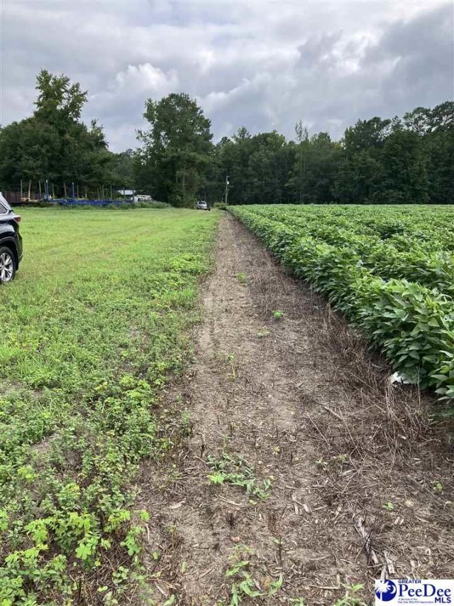 140 Pinkney Rd. Photo 6