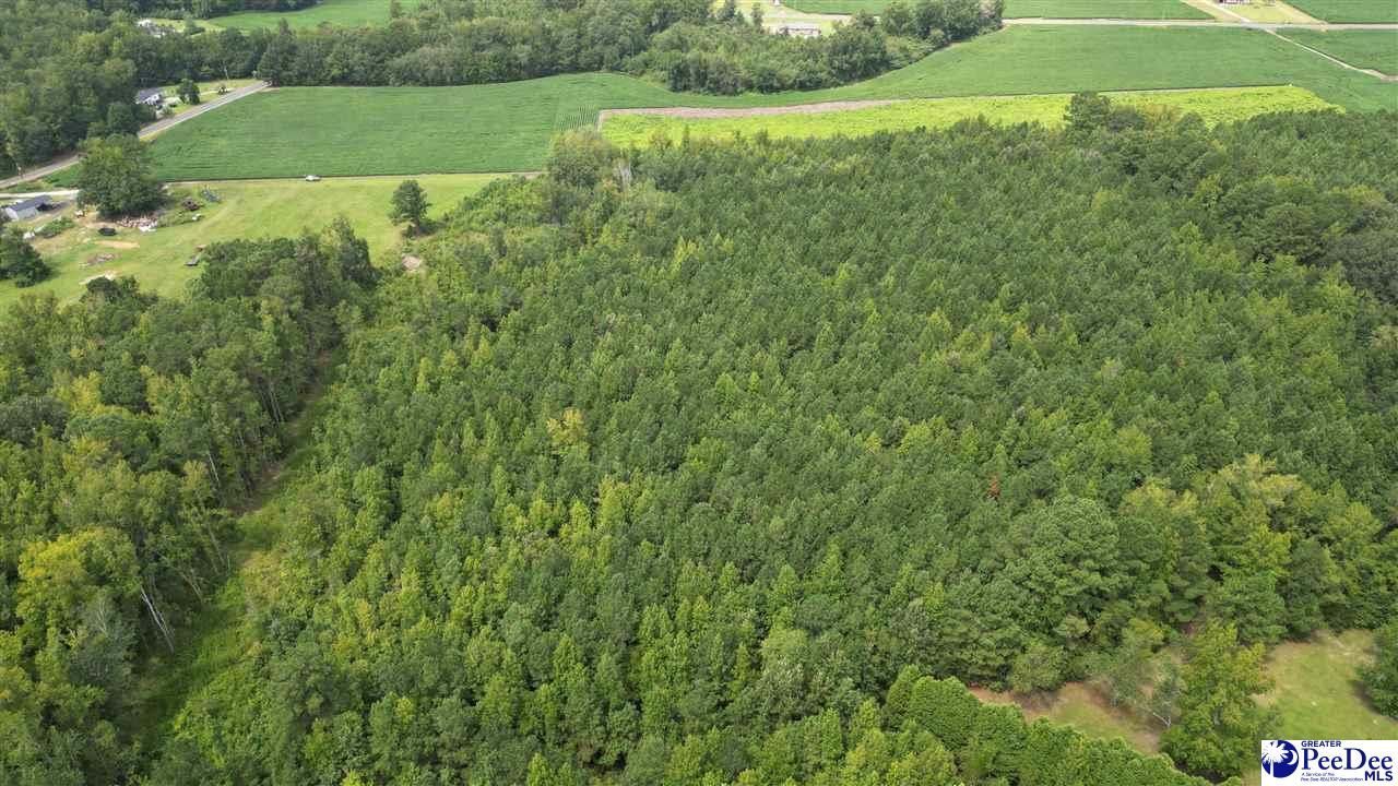 140 Pinkney Rd. Photo 7