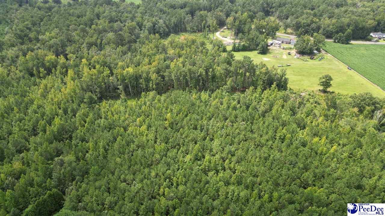 140 Pinkney Rd. Photo 8