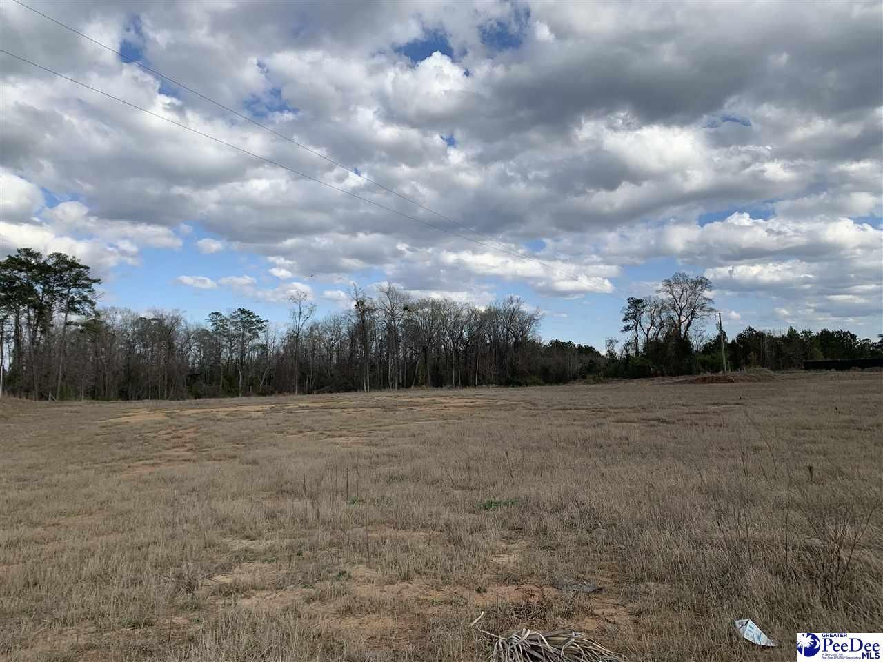 Tbd E Palmetto Street & Quartz Lane Photo 11