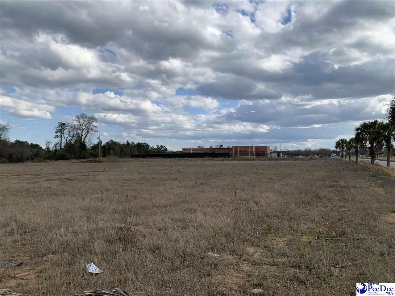 Tbd E Palmetto Street & Quartz Lane Photo 12