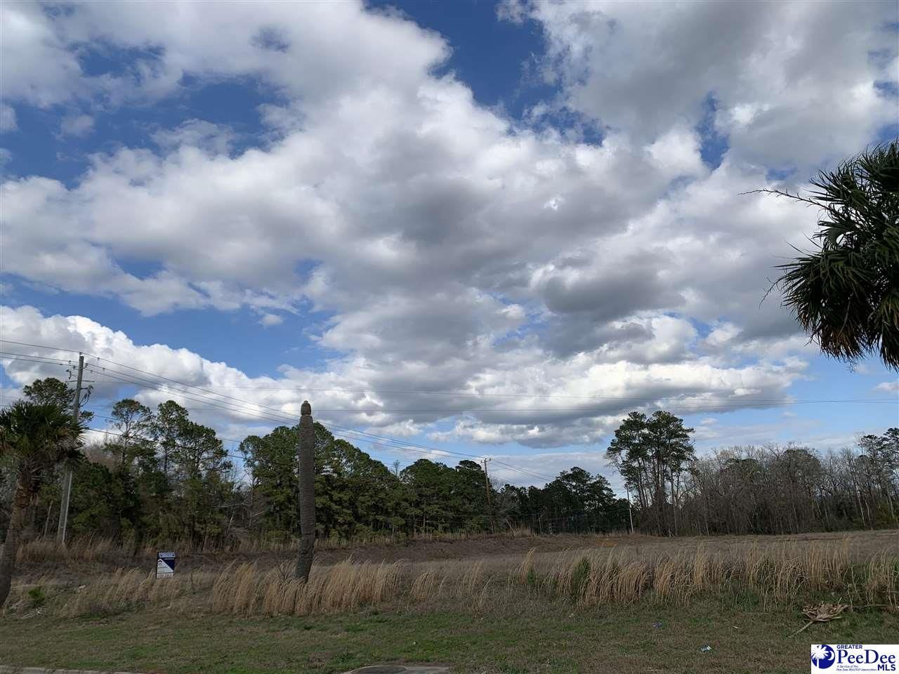 Tbd E Palmetto Street & Quartz Lane Photo 13