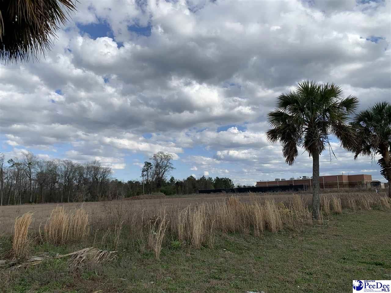 Tbd E Palmetto Street & Quartz Lane Photo 14