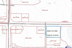 Tbd E Palmetto Street & Quartz Lane photo 4