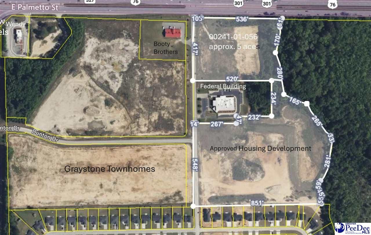 Tbd E Palmetto Street & Quartz Lane Photo 4