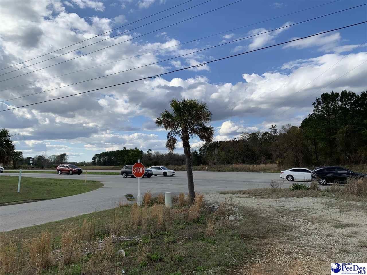 Tbd E Palmetto Street & Quartz Lane Photo 5