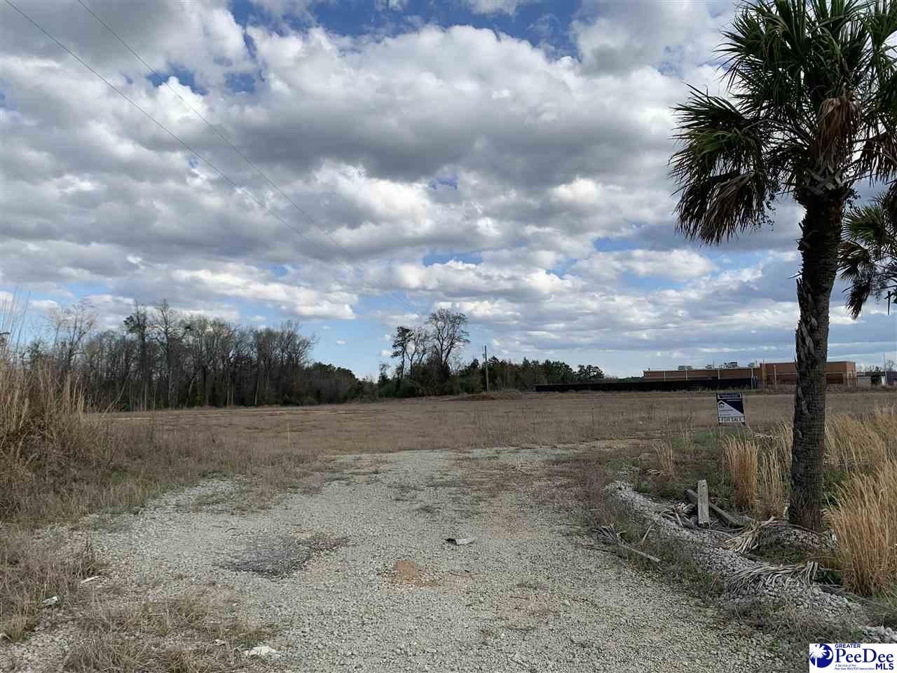 Tbd E Palmetto Street & Quartz Lane Photo 8