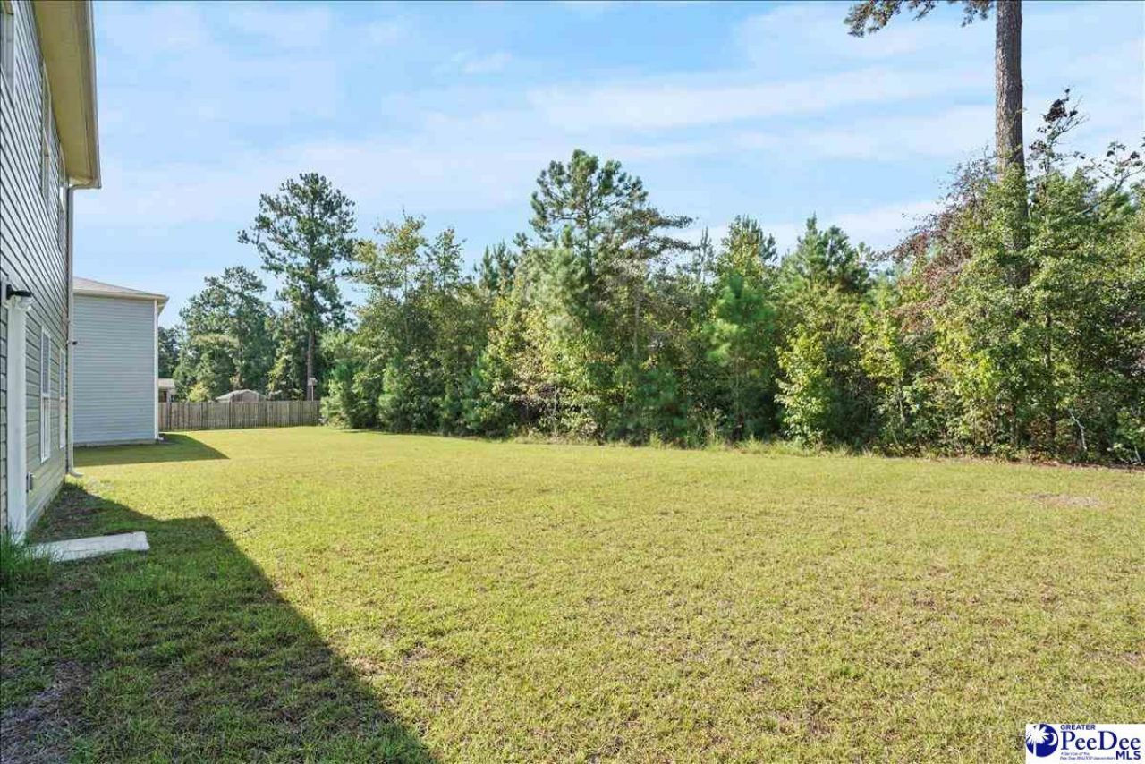 4093 Lake Russell Photo 49