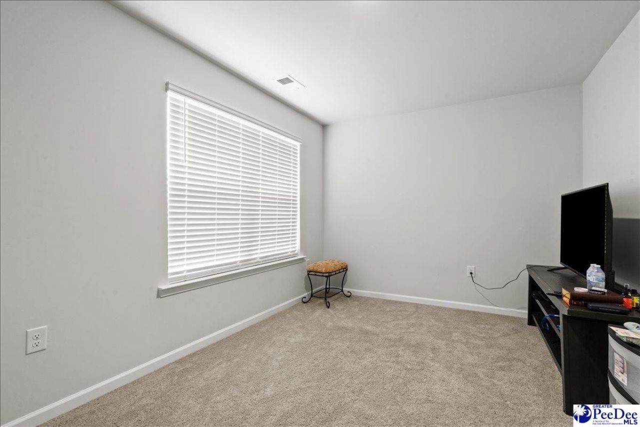 1085 Birdie Court Photo 19