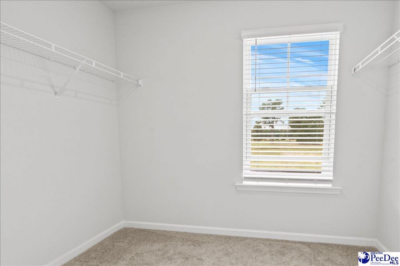 1085 Birdie Court Photo 20