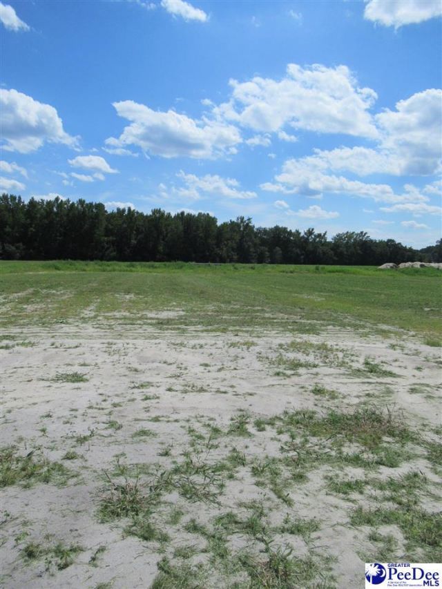 4982 E National Cemetery Road Photo 53