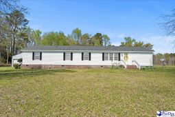 1130 Buck Swamp Rd. photo 4