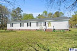 1130 Buck Swamp Rd. photo 4