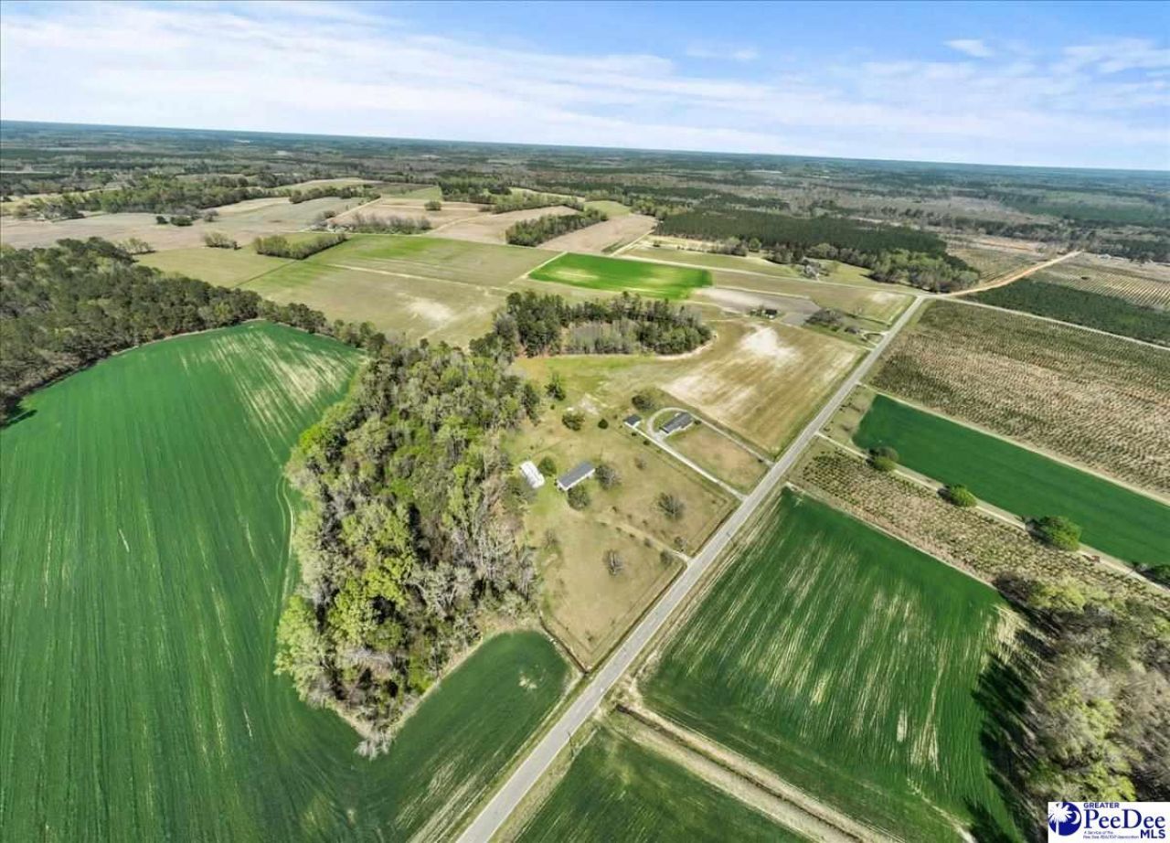 1130 Buck Swamp Rd. Photo 34