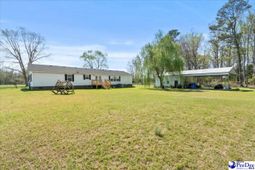 1130 Buck Swamp Rd. photo 4