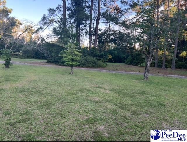 3189 Edwards Dr Photo 49