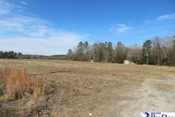 W Bobo Newsom Hwy photo 4