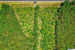 Tbd Jasmine Rd photo 4