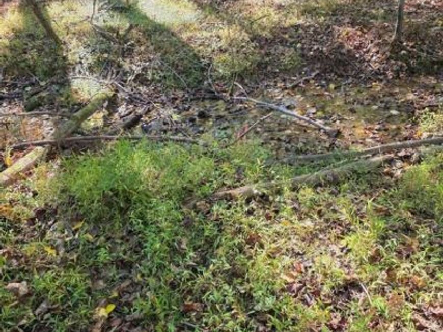 3816 A Jim Smith Lane, New Windsor, MD 21776 Main Photo