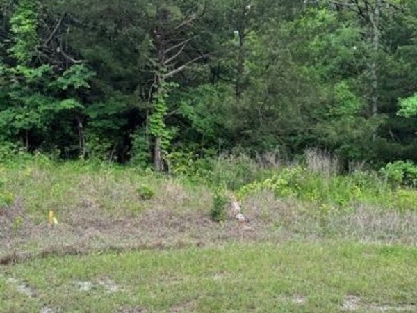 Arrowhead, Burneyville, OK 73430