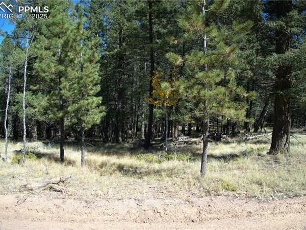 252 Southpark Road, Florissant, CO 80816