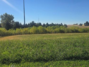 TBD ( Lot 1, Blk 1) 3rd Avenue SE, Harmony, MN 55939