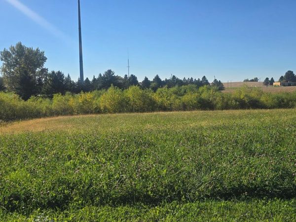 TBD ( Lot 1, Blk 1) 3rd Avenue SE, Harmony, MN 55939