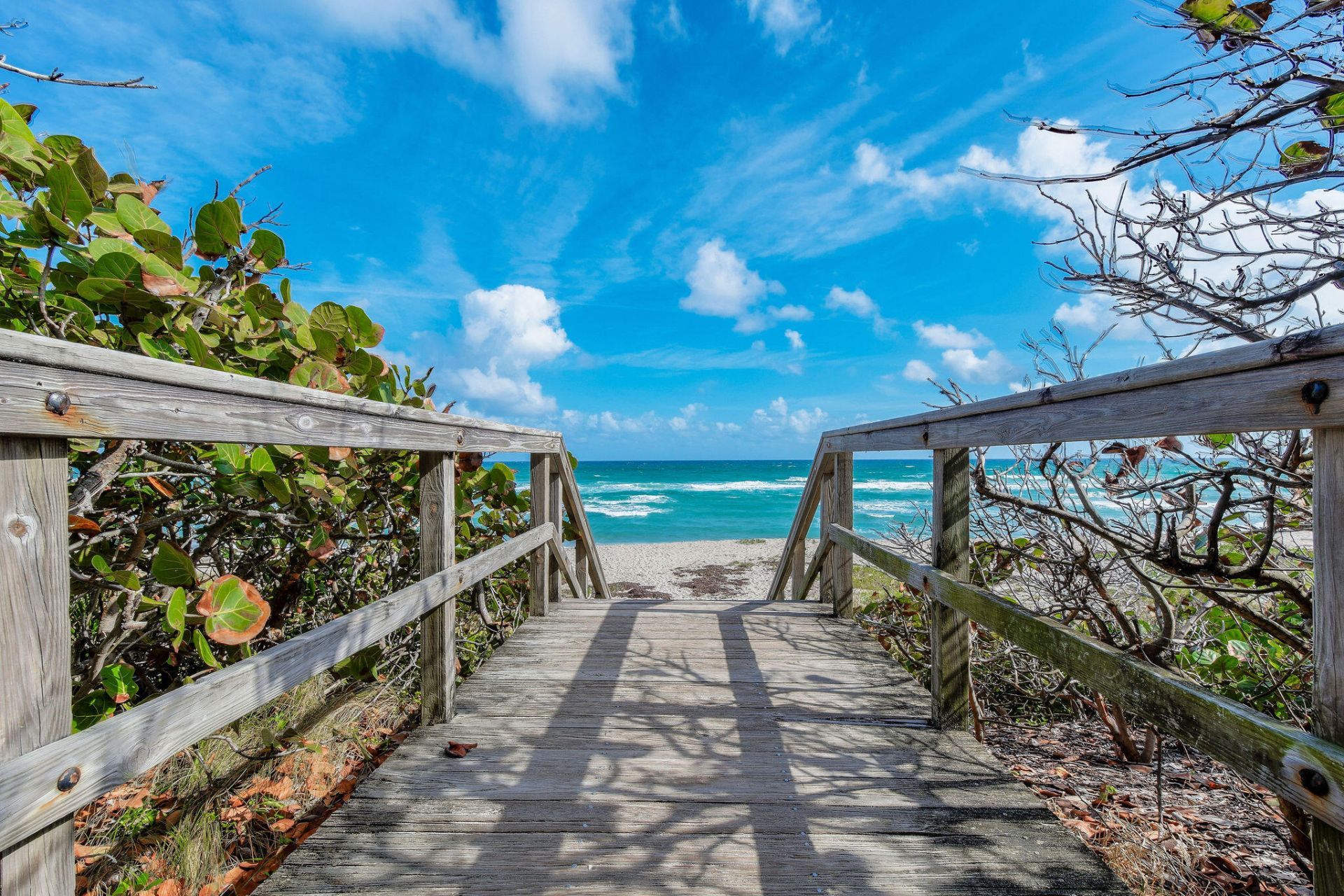 1883 Smith Drive, North Palm Beach, FL 33408 Photo