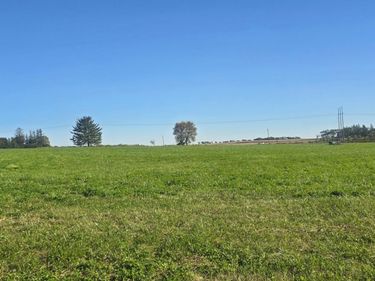 TBD ( Lot 2, Blk 2) 3rd Avenue SE, Harmony, MN 55939