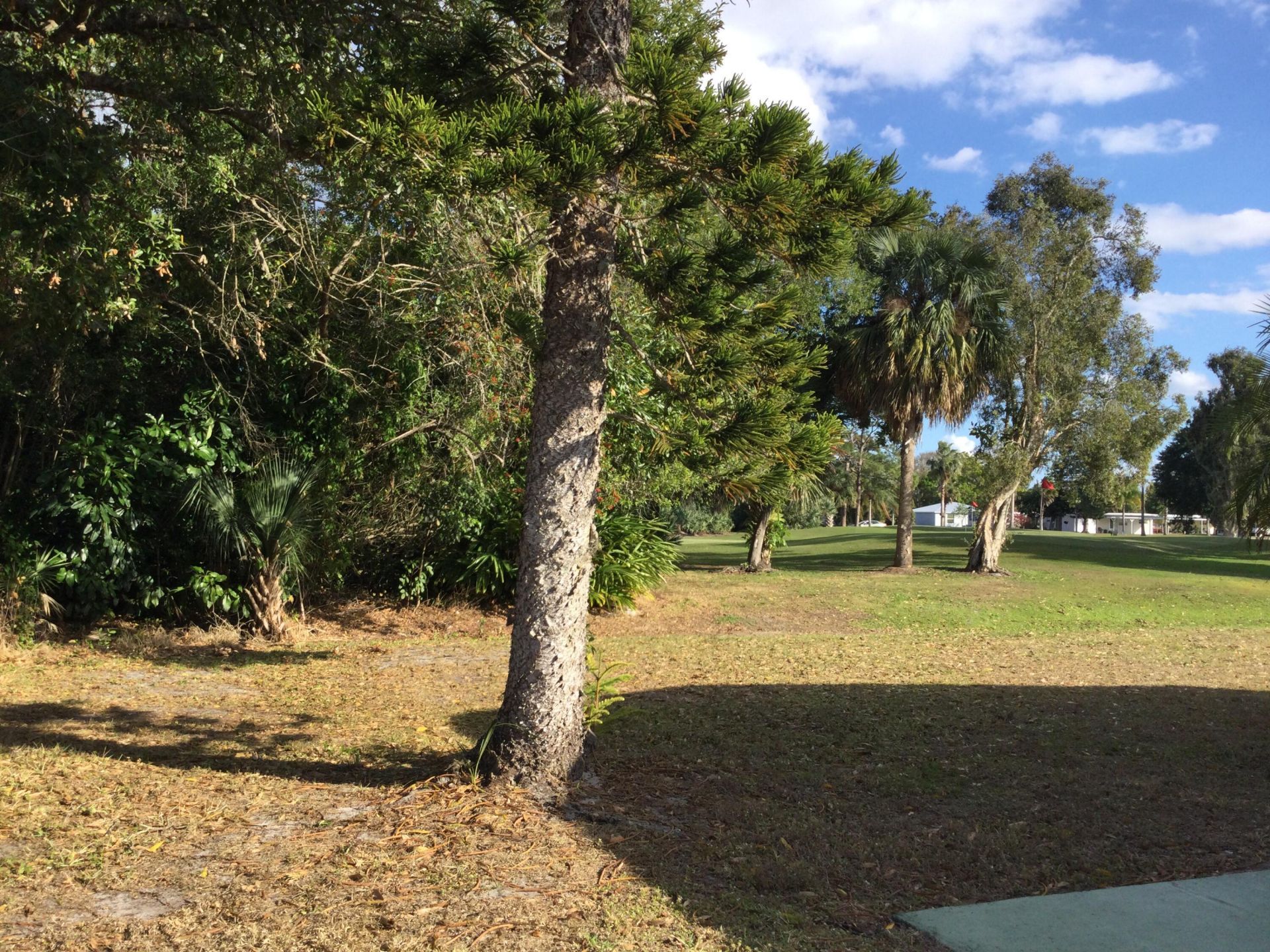 42 Golf Drive, Port Saint Lucie, FL 34952 Photo