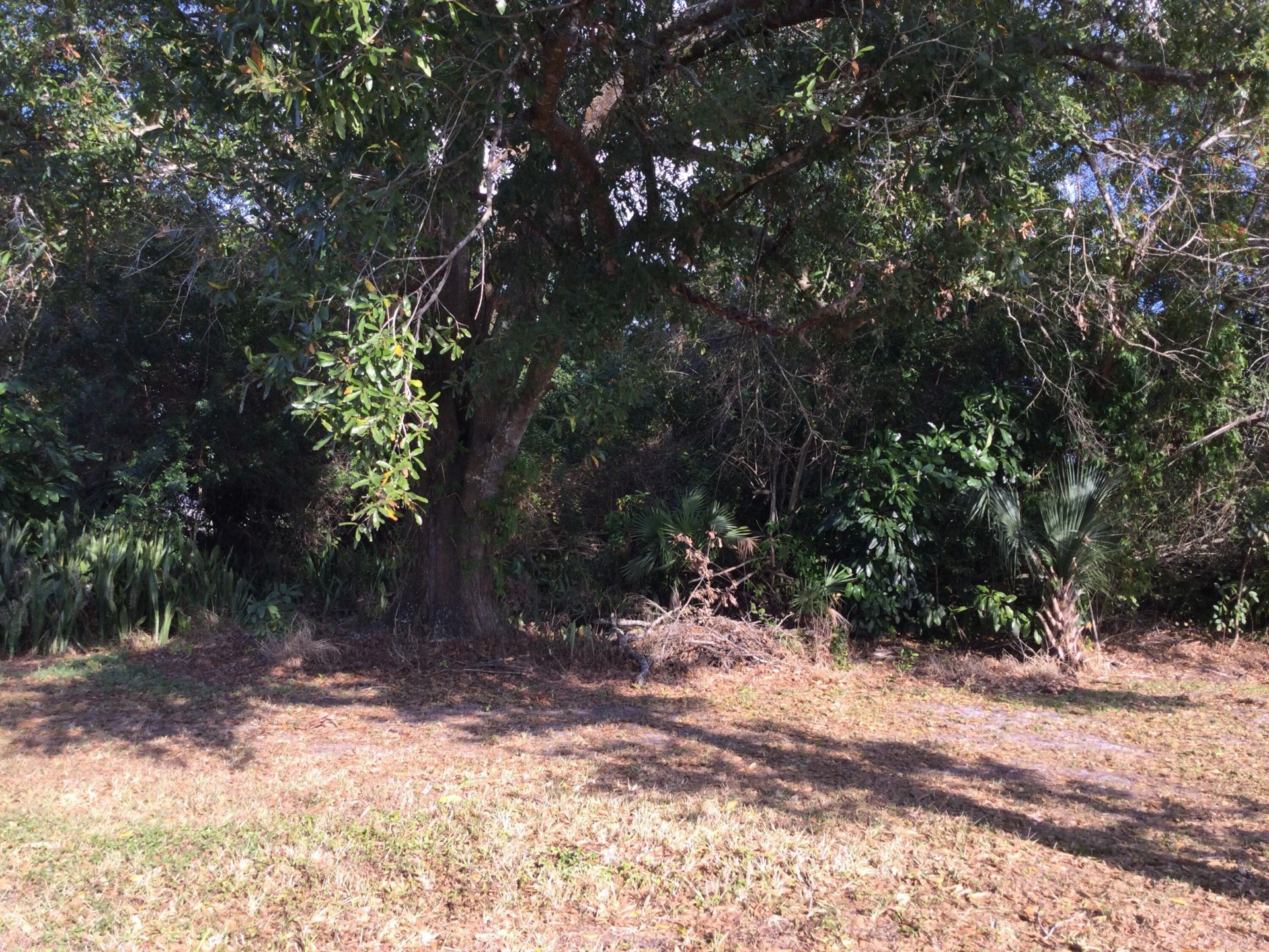 42 Golf Drive, Port Saint Lucie, FL 34952 Photo