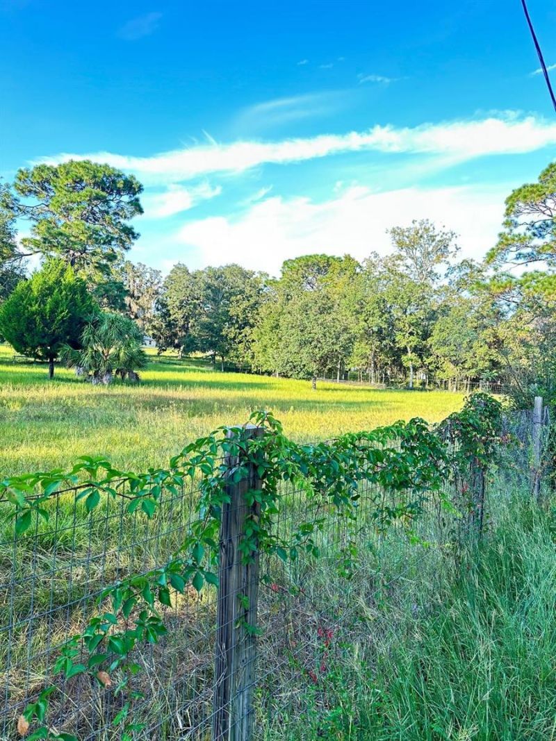 5910 W Donahue Lane, Homosassa, FL 34448 Photo