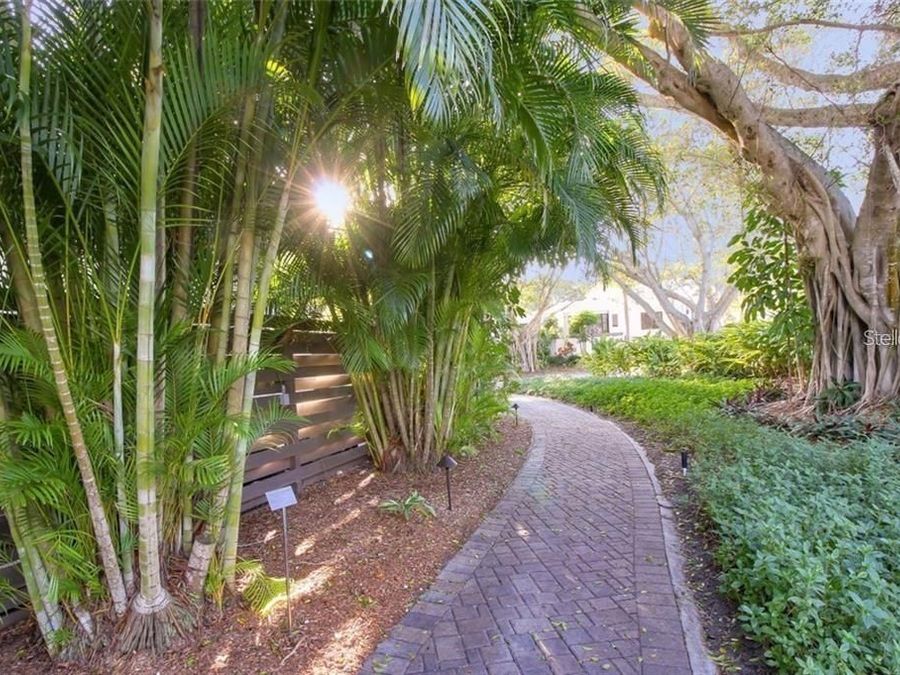 Property Image 62