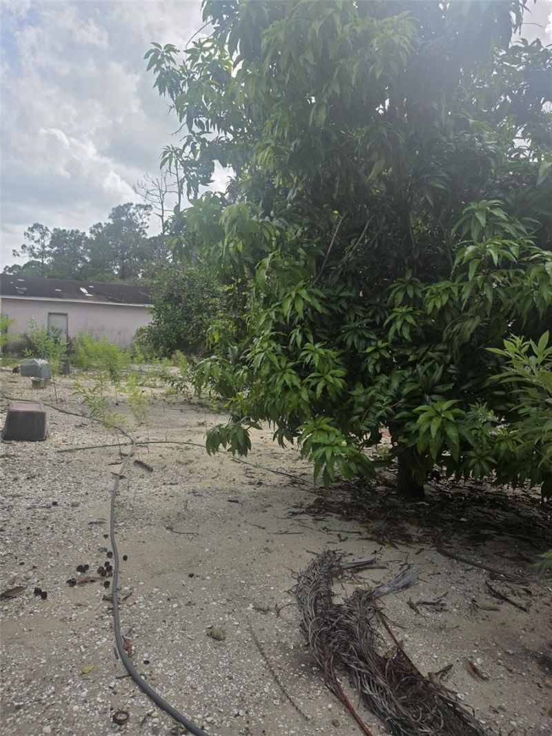 1850 Panama Avenue, Clewiston, FL 33440 Photo