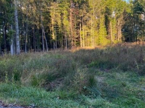 Maplewood Avenue, Lake Milton, OH 44429