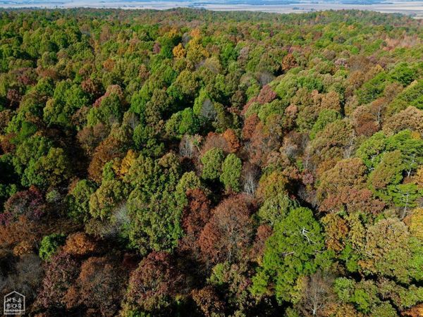 1 000 Greene 125 Road, Beech Grove, AR 72450