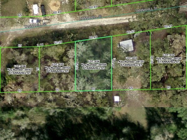 TANNAHILL STREET, DADE CITY, FL 33523